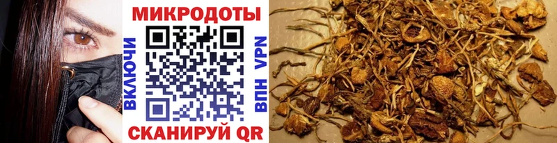 hydra ONION купить Нижнекамск Псилоцибиновые грибы прущие грибы